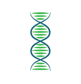 Step 1: Sequencing